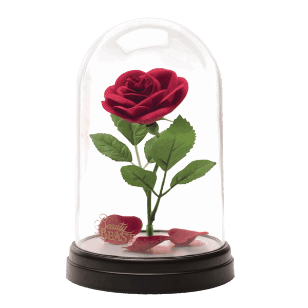 Beauty And The Beast Rose Falling Petals