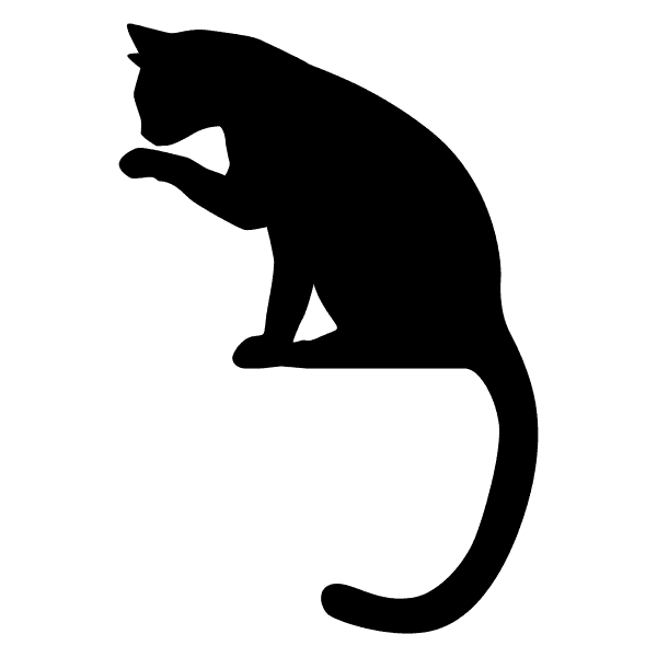 Black Cat Licking Paw