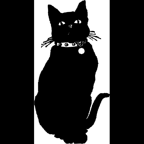 Black Cat With Collar