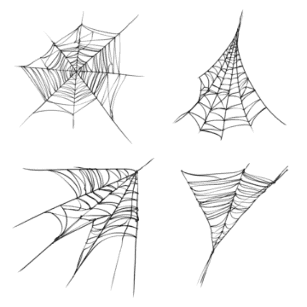 Corner Spider Web Set