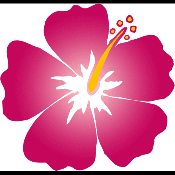 Hot Pink Hibiscus Flower Clipart
