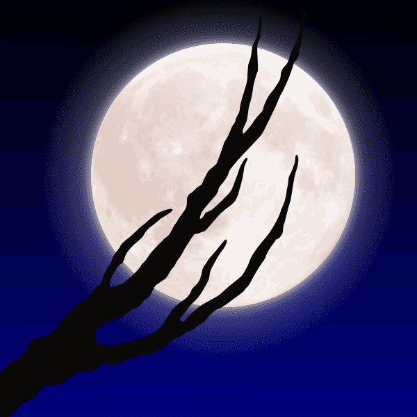 Tree Branches And Big Moon