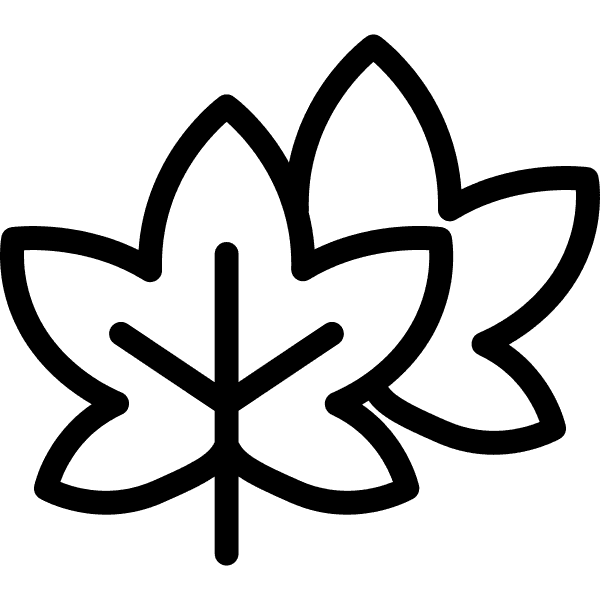 2-piece White Maple Leaf