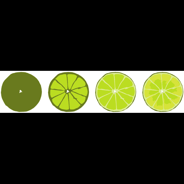 4 Sliced Lime