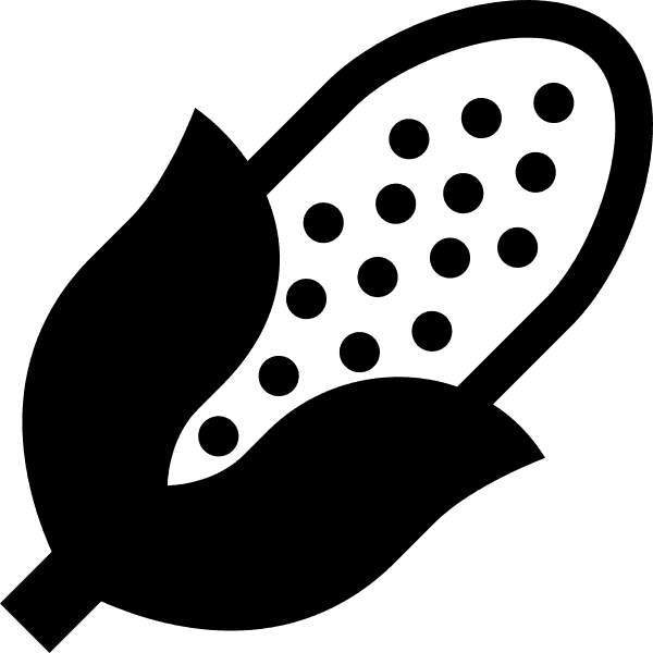 Black And White Corn