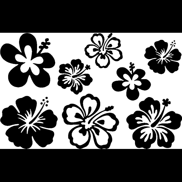 Black And White Hibiscus Flower