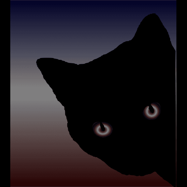 Black Cat Peeking In