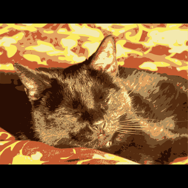 Black Cat Sleeping