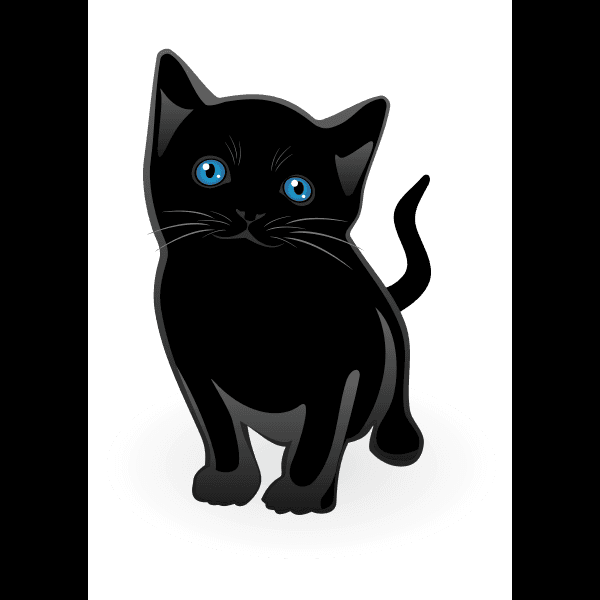 Black Cat Walking Forward