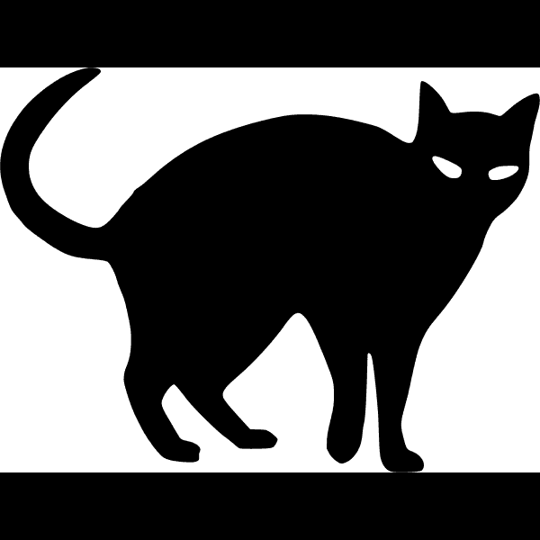 Black Cat With Arched Back