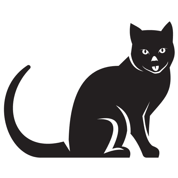 Black Cat With Long Tail