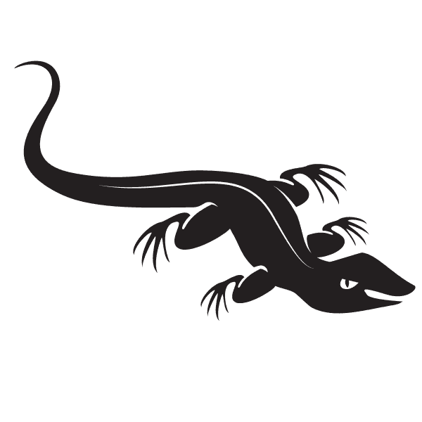 Black Lizard Illustration