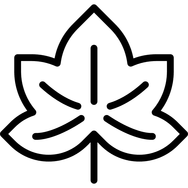 Black-outlined Maple Leaf