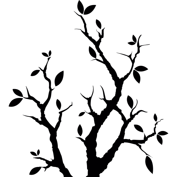 Black Tree Branches With Leaves