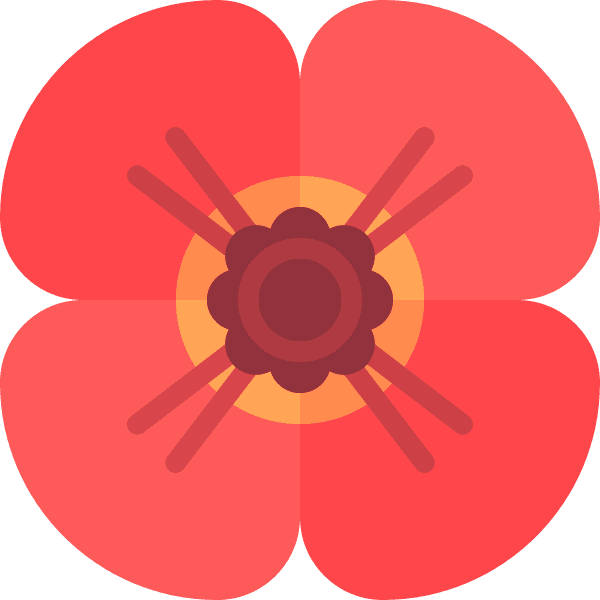 Blooming Pink Poppy Flower Clipart