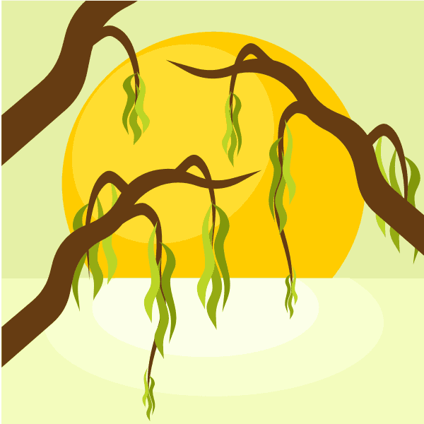 Brown Branches With Yellow Sun