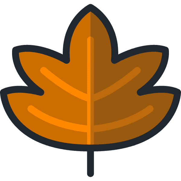 Brown Maple Leaf With Outline