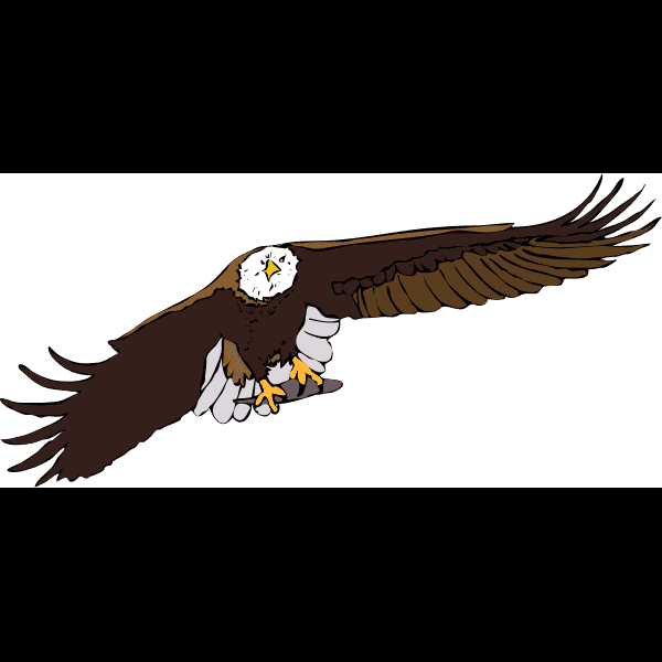 Brown Mexican Eagle Flying