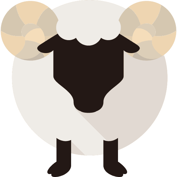 Cartoon Sheep Front