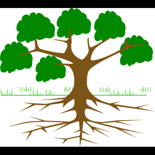 Cartoon Tree With Roots