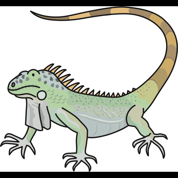 Colored Lizard Illustration