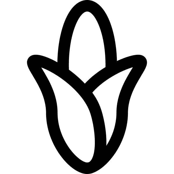 Corn Clipart Thick Outline