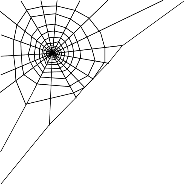 Corner Spider Web Illustration