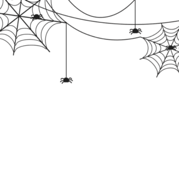 Corner Spider Web With Spiders