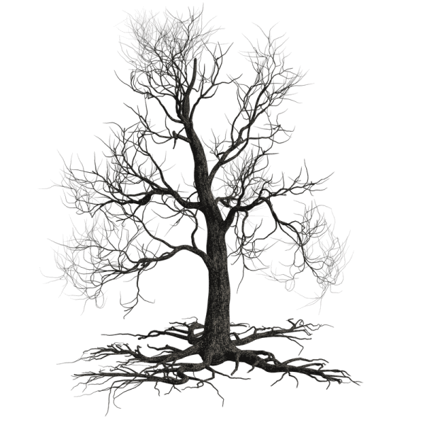 Creepy Tree With Roots