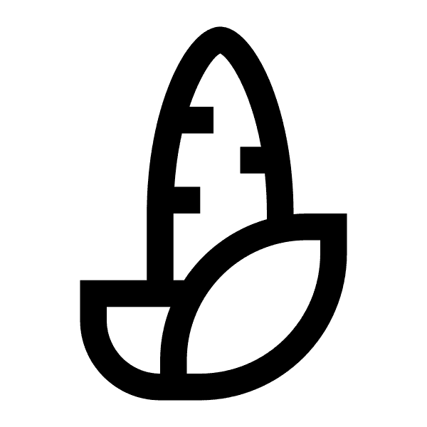 Crop Corn With Outline