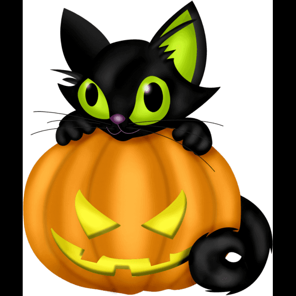 Cute Halloween Cat Hugging Pumpkin