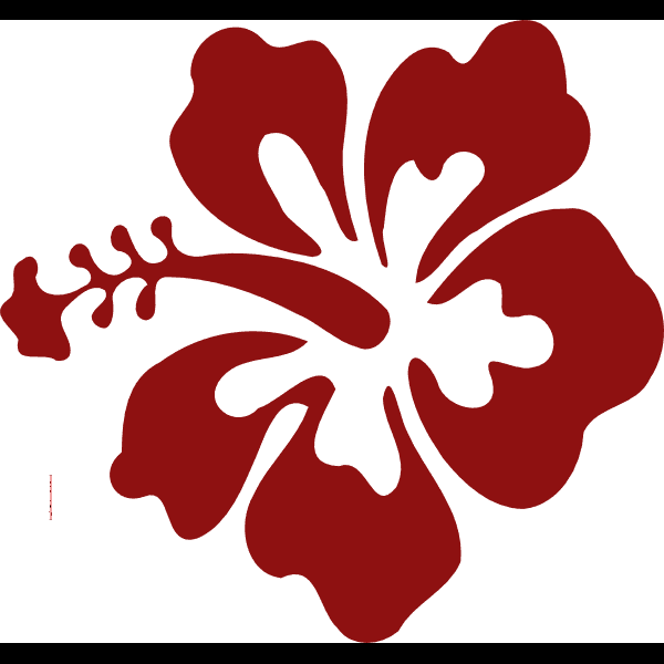 Dark Red Hibiscus Flower