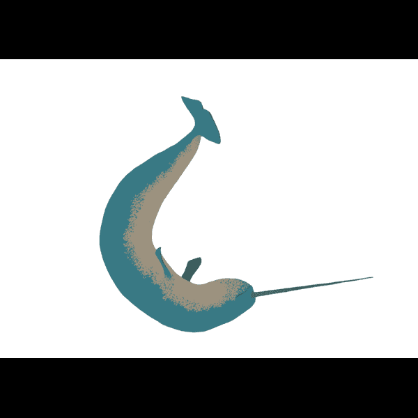 Dark Teal Narwhal Illustration