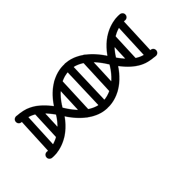 Dna Structure Illustration