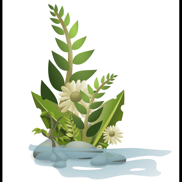 Flowering Plants In Water
