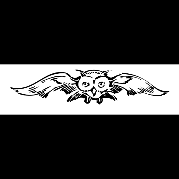 Flying Owl Free Sketch