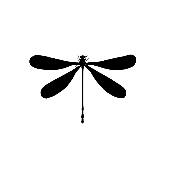 Free Dragonfly Black Silhouette