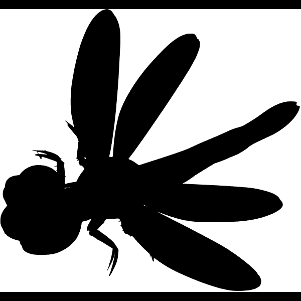 Free Dragonfly Cartoon Drawing