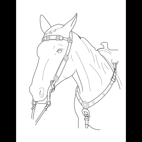 Free Horse Face Sketch
