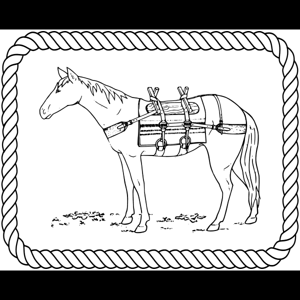 Free Horse In Rope Frame