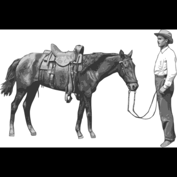 Free Horse With Cowboy