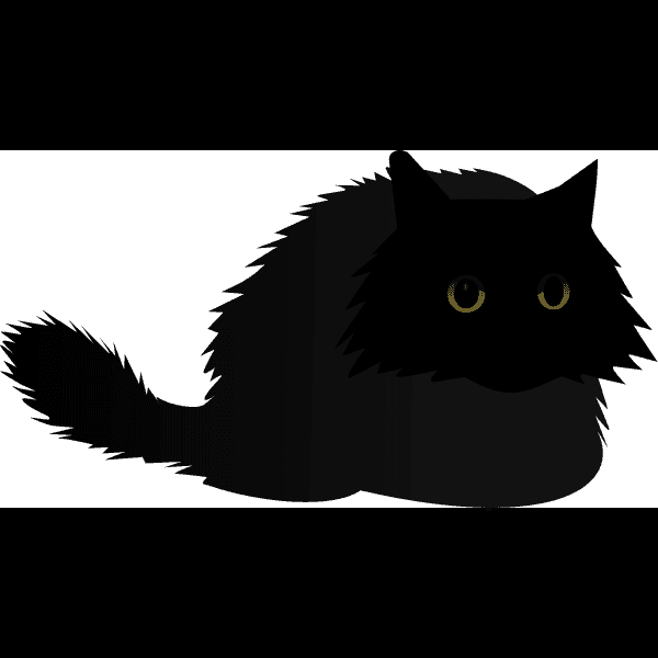 Fuzzy Angry Black Cat