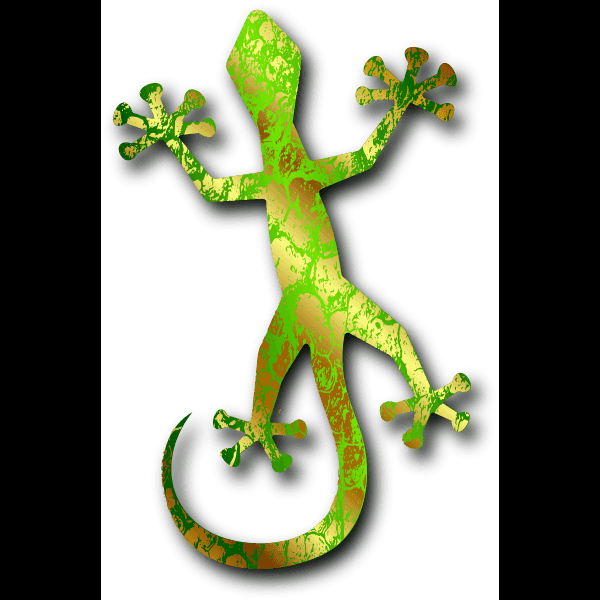 Gecko Lizard With Patterns
