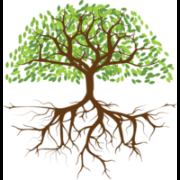 Graphic Tree With Roots