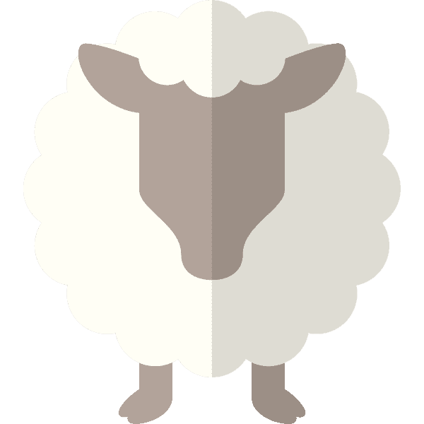 Gray Sheep