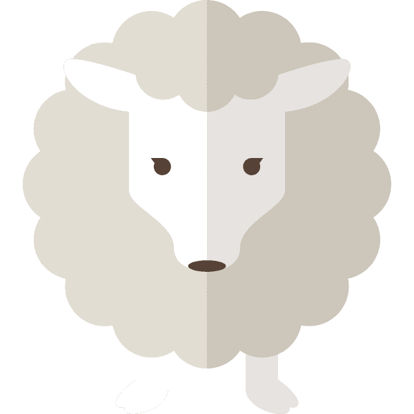 Gray Sheep With Black Eyes