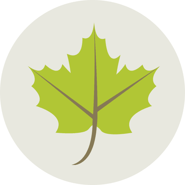 Green Maple Leaf Circle Icon