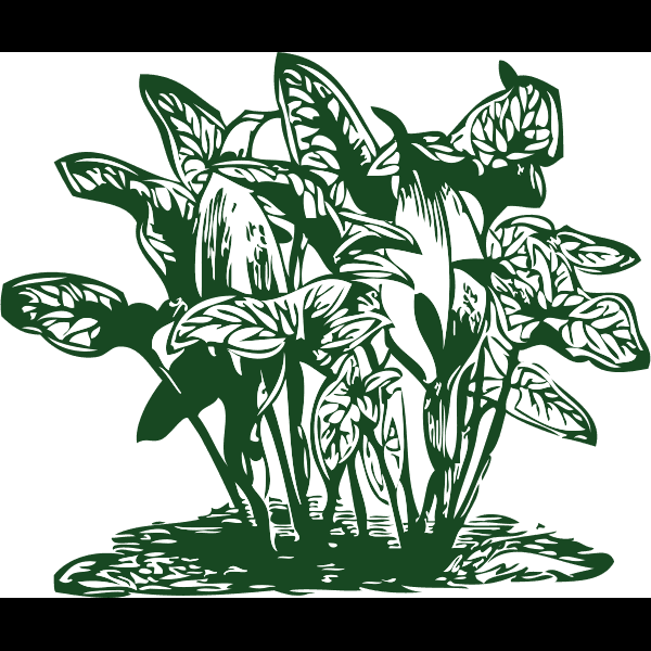 Green Tropical Plants