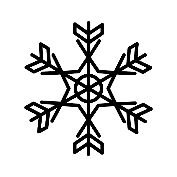 Intricate Design Of Transparent Snowflake