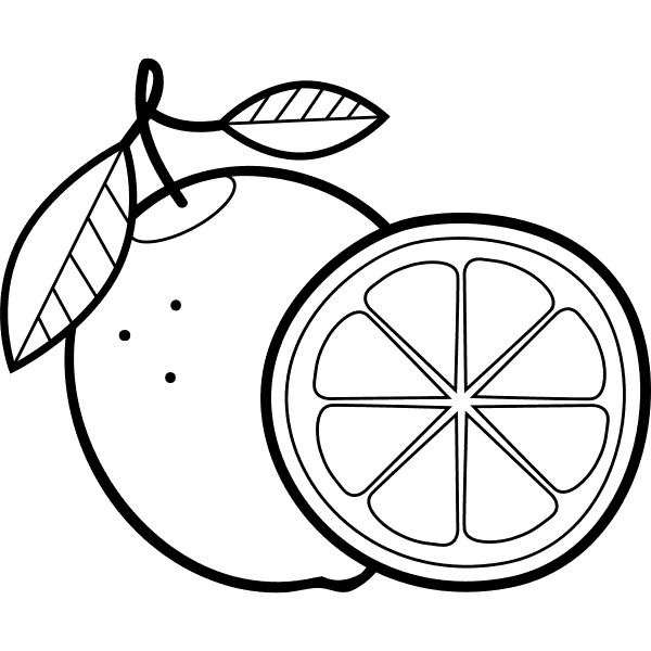 Lime Fruit Outline